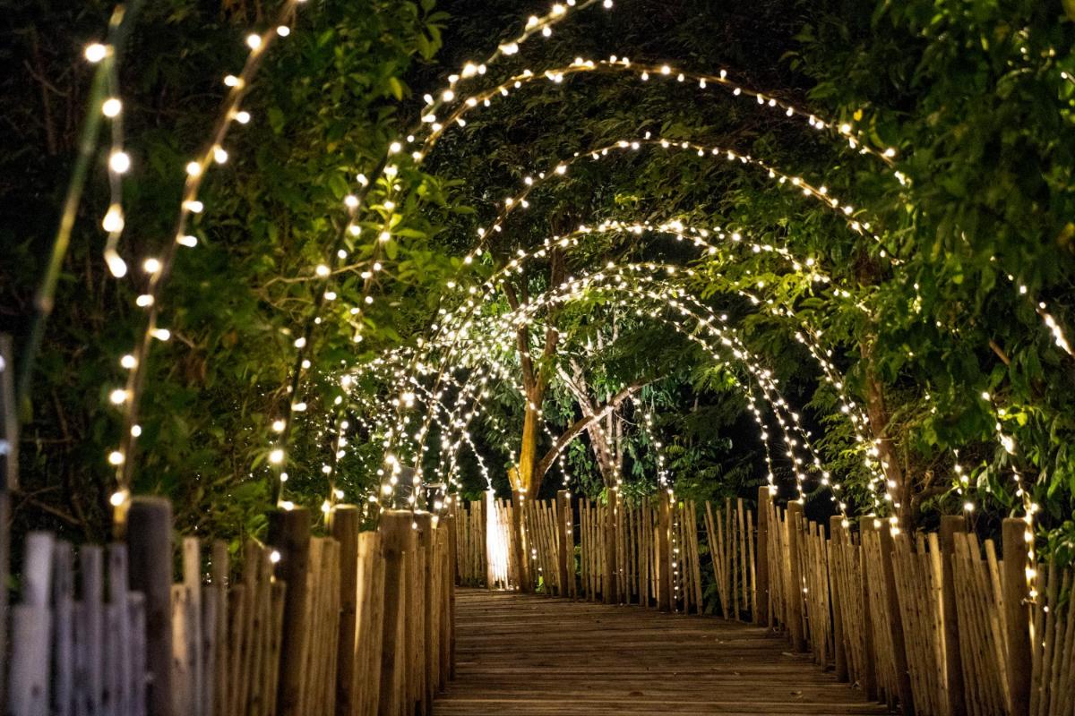 7 Types of Outdoor Lights to Consider for Your Orlando Home