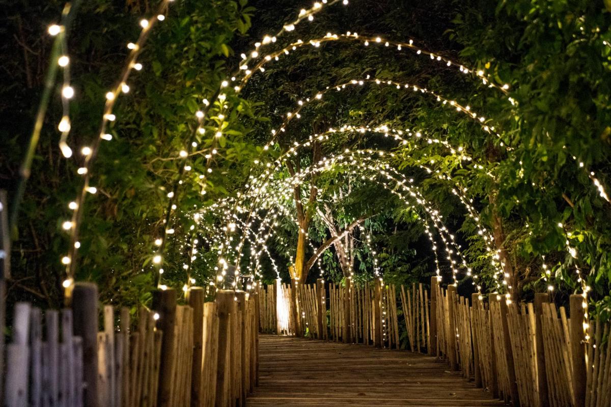 Electric yard lights discount