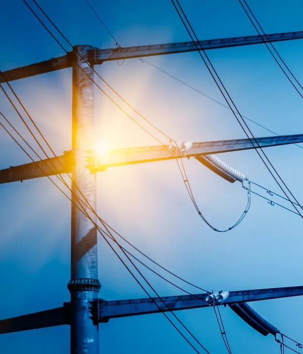 Federal Electrical Services