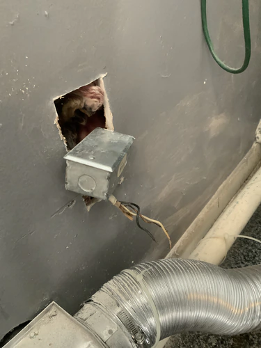 Drywall opened at the dryer outlet location in Maitland with a metal box and the existing cable exposed above the vent duct