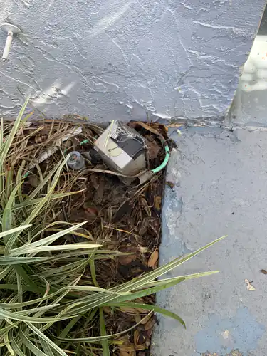 Old taped outdoor outlet box lying in the mulch below a stucco wall in Casselberry with a garden hose behind it